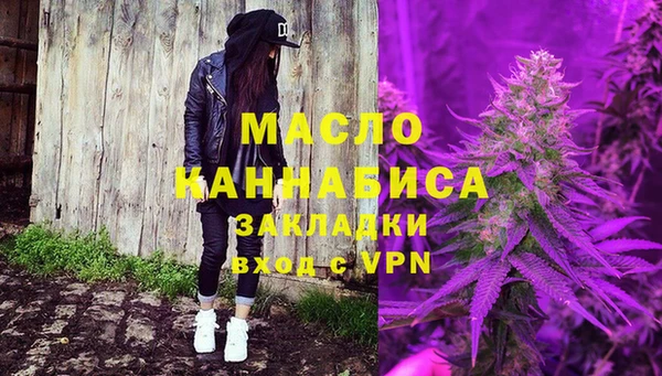 молекула духа Ладушкин