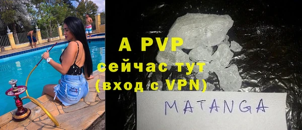 молекула духа Ладушкин